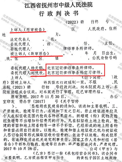 【胜诉故事】承包山林种的苗木却成抢栽抢种，冠领律师出手帮当事人两审两胜-图3