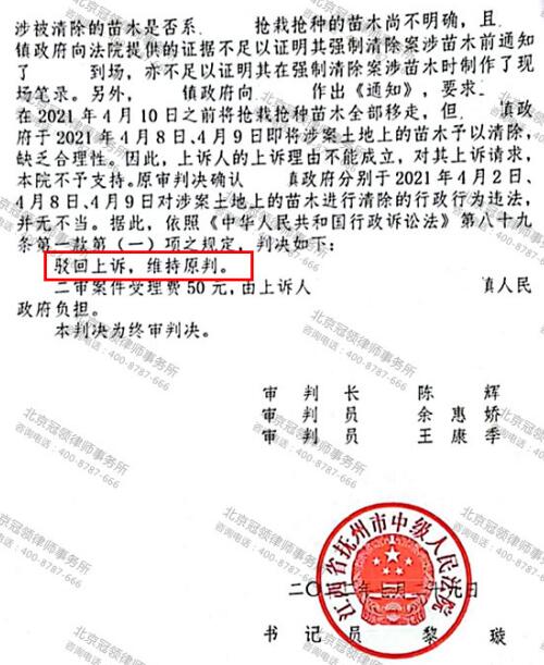 【胜诉故事】承包山林种的苗木却成抢栽抢种，冠领律师出手帮当事人两审两胜-图4