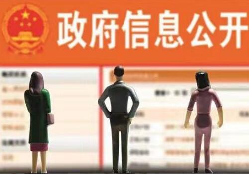【胜诉故事】用“未征收过土地”答复信息公开申请，冠领律师出马复议成功-图2