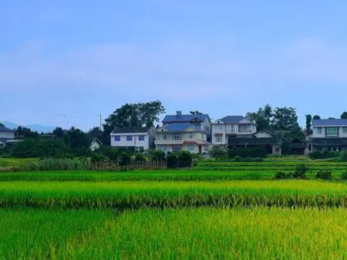 山东征收补偿律师-村委会不承认被征收人集体资格身份怎么办