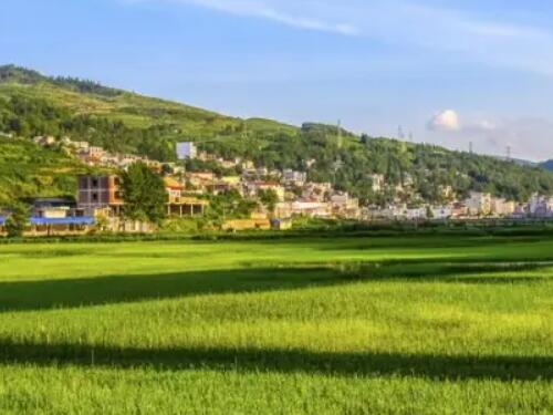 山东济南钢城区拟征收土地，每公顷补偿93万元，快来看看吧