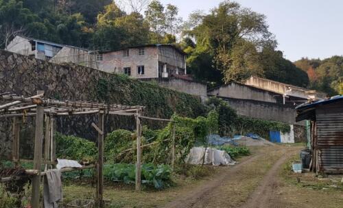 【胜诉故事】相关部门不履行信息公开职责 冠领律师代理委托人维权胜诉-图1