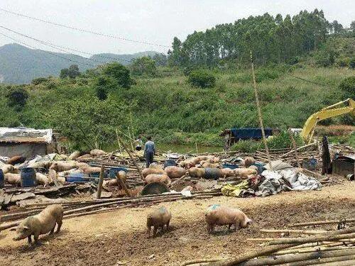 违建拆除纠纷律师-养殖场收到行政处罚决定书后怎么办