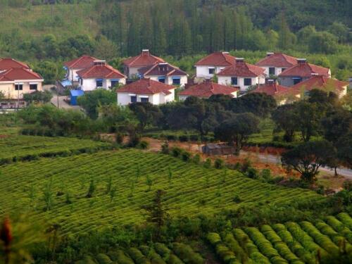 浙江农村违建律师-早期在耕地上建房算违法建筑吗
