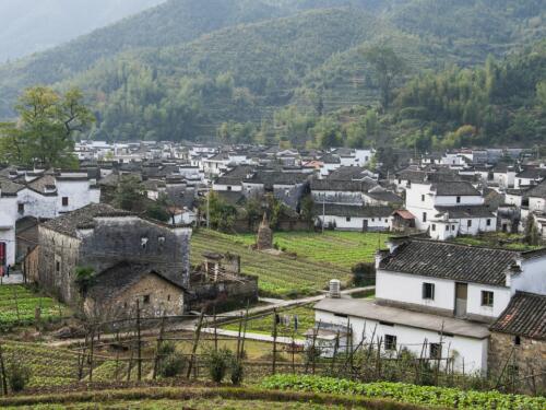 冠领律师代理河南驻马店两户城中村房屋确认强拆违法案胜诉-1