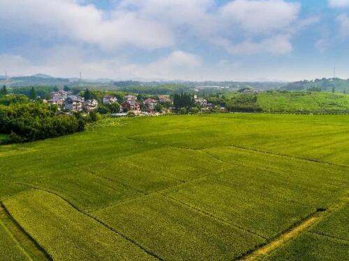 河南住宅拆迁补偿律师-土地征收没有拆迁补偿方案合法吗