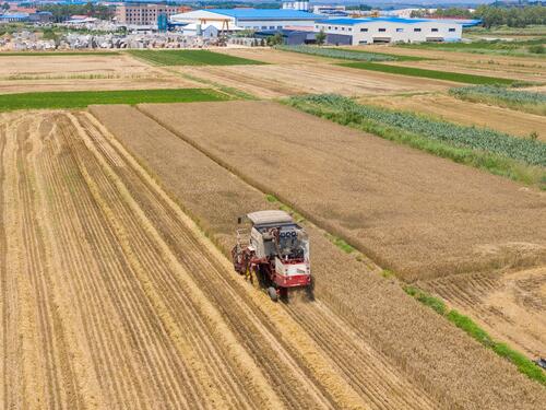 山东省平度市拟征土地用于城镇道路建设，每公顷补偿105万元