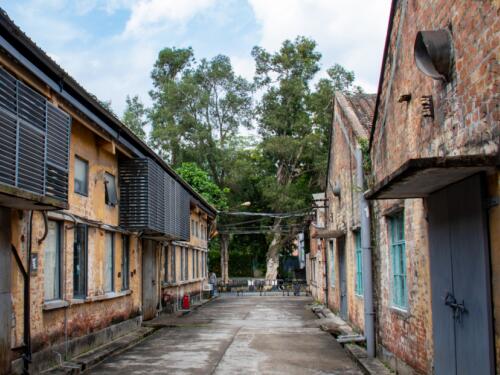 【胜诉故事】租住十年公房被强拆，补偿仅1万元，冠领律师代理三委托人起诉维权获胜-1