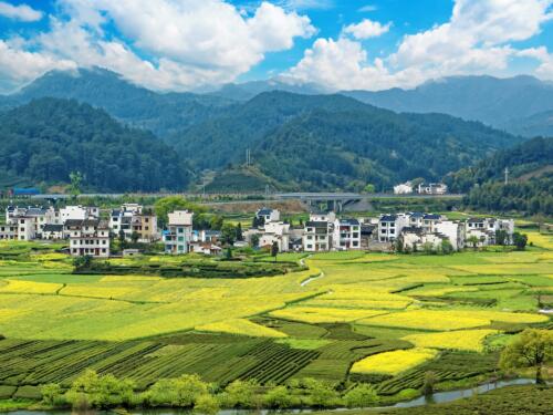【新规速递】河南省自2024年1月1日起施行新的土地管理办法-1