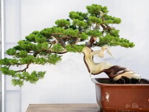 浙江厂房拆迁补偿律师-景观石材厂拆迁补偿不合理怎么办