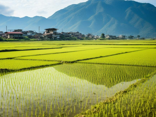 土地丈量误差频出，村民该如何保障拆迁补偿权益