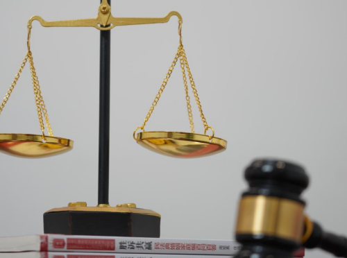 【胜诉故事】九位村民房屋未经合法程序被拆，冠领律师以法破局助力委托人胜诉-2