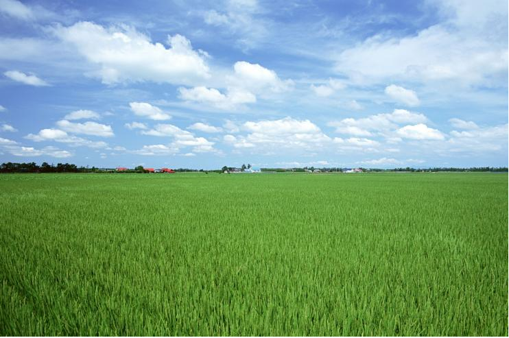 农村拆迁纠纷,土地确权纠纷,土地赔偿纠纷