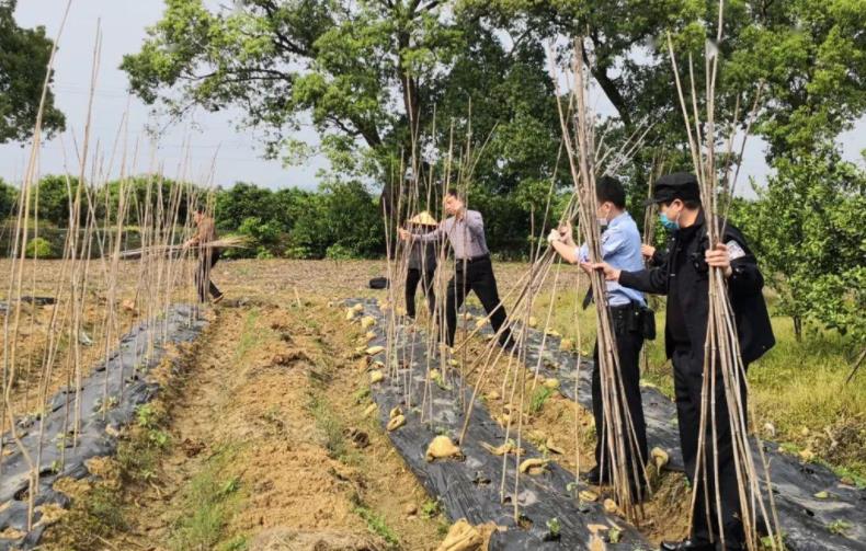 【胜诉简讯】冠领代理河北保定确认清除地上物行为违法案胜诉-图2