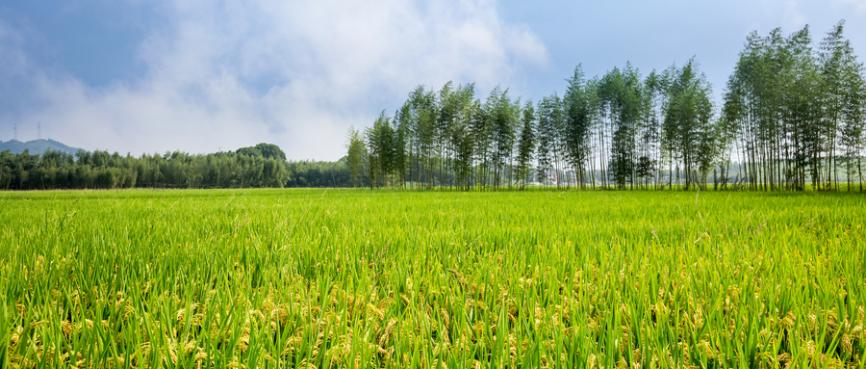 北京冠领律所农村征地律师：现在的拆迁征地政策是什么