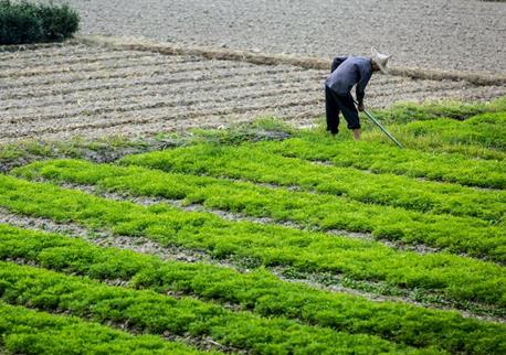 违建拆迁补偿律师：拆除违建时未保护建筑内合法财产如何维权