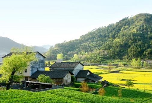 父母的农村宅基地是否能被子女继承呢